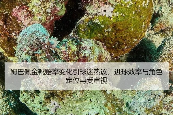 mu-ba-pei-jin-xue-pei-lv-bian-hua-yin-qiu-mi-re-yi-jin-qiu-xiao-lv-yu-jue-se-ding-wei-zai-shou-shen-shi-2-153.jpg
